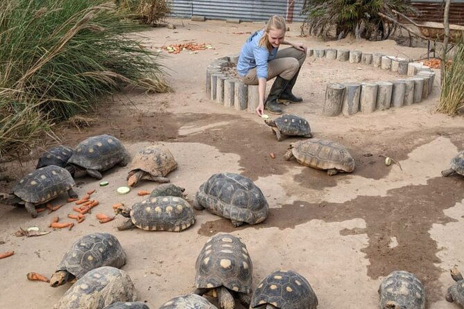 wildlife-rescue-center-in-nature-reserve-near-santa-cruz