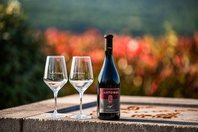 wine-degustation-in-the-heart-of-slovenian-istria