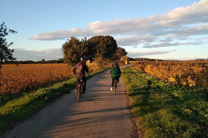 wine-of-the-luberon-by-e-bike-not-to-be-missed