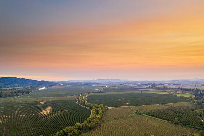 wine-stables-and-classic-cars-willamette-valley-tour-experience