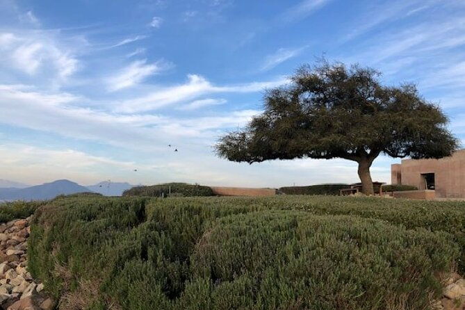 wine-tasting-day-tour-to-vineyard-casas-del-bosque-in-casablanca