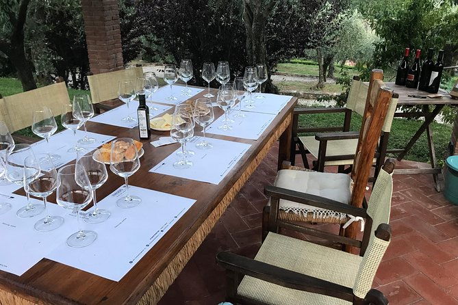 wine-tasting-in-pisa-with-sommelier-the-great-wines-of-tuscany