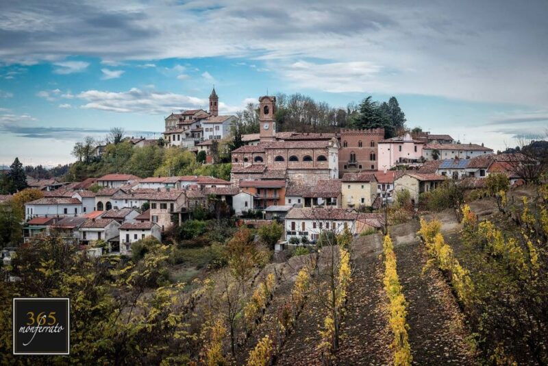 wine-tasting-of-monferrato-with-a-visit-to-the-winery