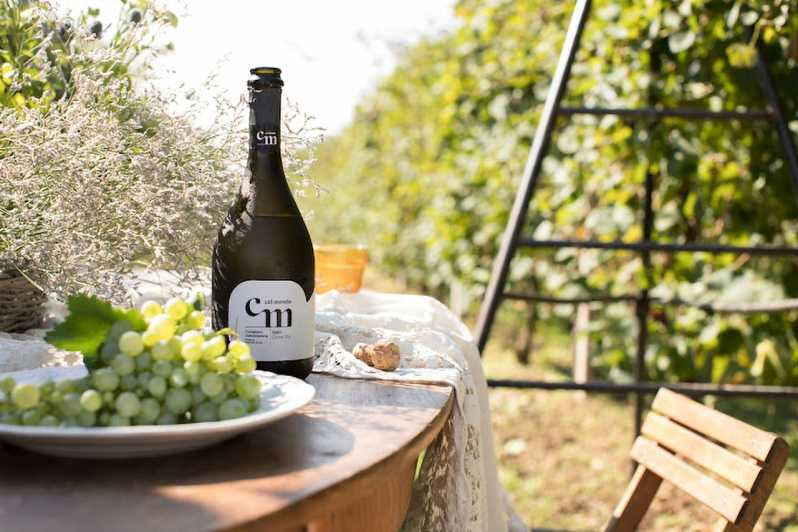 wine-tasting-the-flavors-of-the-prosecco-hills
