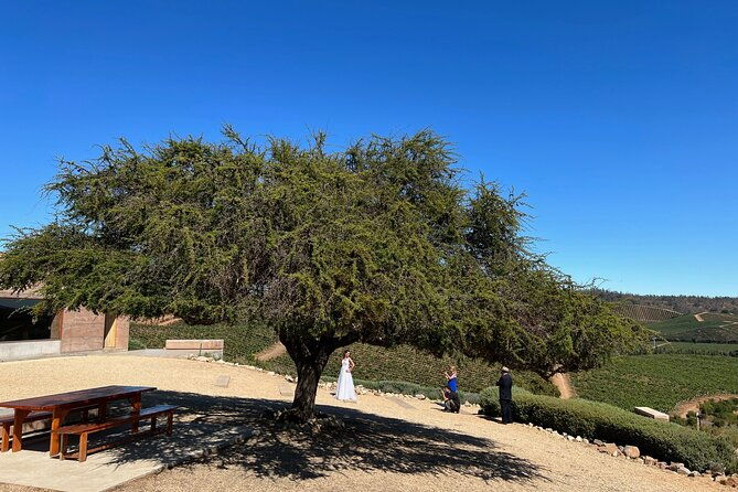 wine-tasting-tour-to-casablanca-valley-wine-region