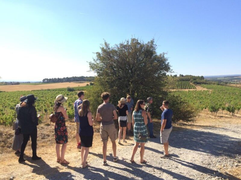 wine-tour-cathar-country