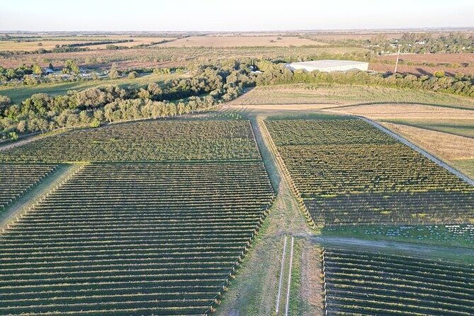 wine-tour-to-colonia-caroya-cordoba-half-day