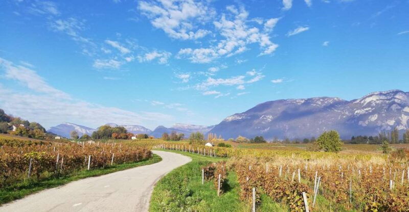 wine-tour-with-private-driver