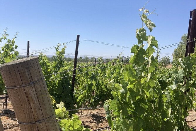 wine-tours-of-santa-barbara-county