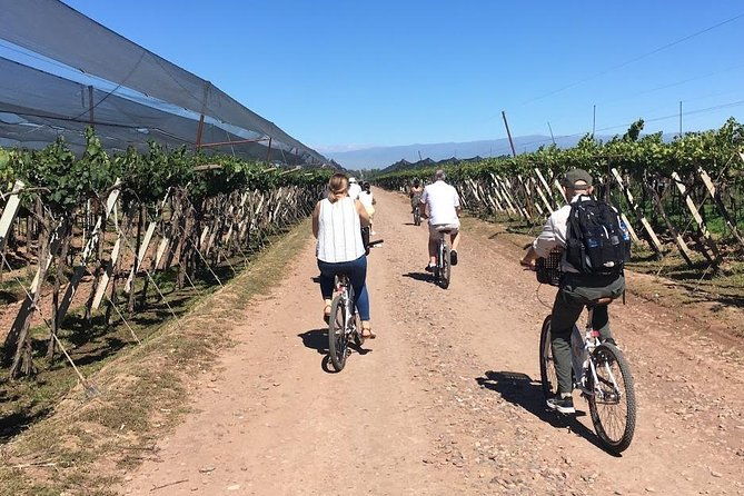 wineries-biking-tour-in-chacras-de-coria-2-wineries