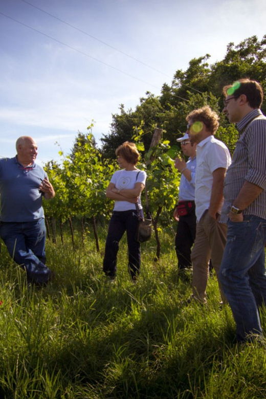 winery-tour-tasting-on-padova-hills