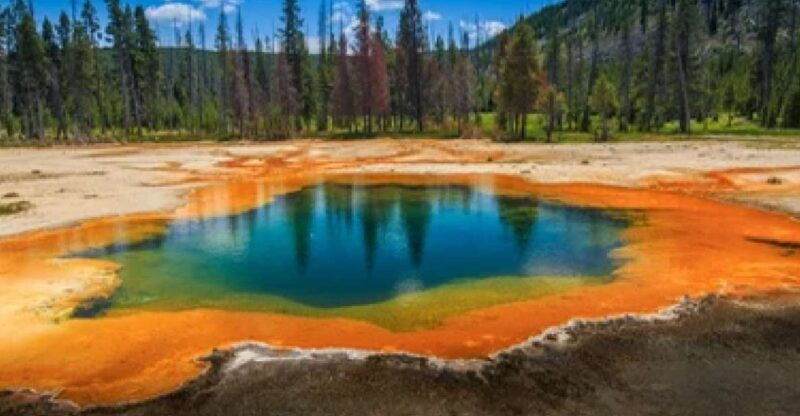 yellowstone-grand-tetons-4-day-3-night-wildlife-adventure