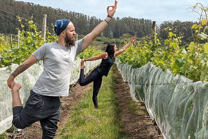yoga-in-vineyards-and-brunch