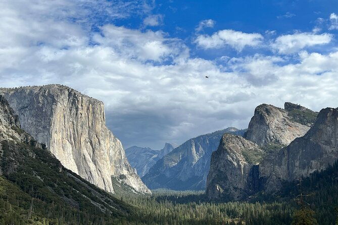 yosemite-full-day-private-tour
