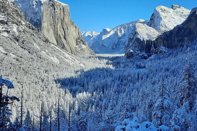 yosemite-national-park-day-tour-with-optional-alcatraz