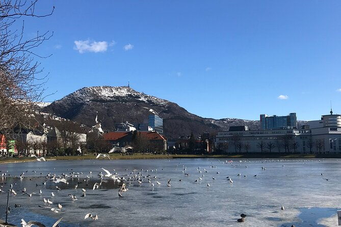 zero-emission-bergen-city-tour-by-car