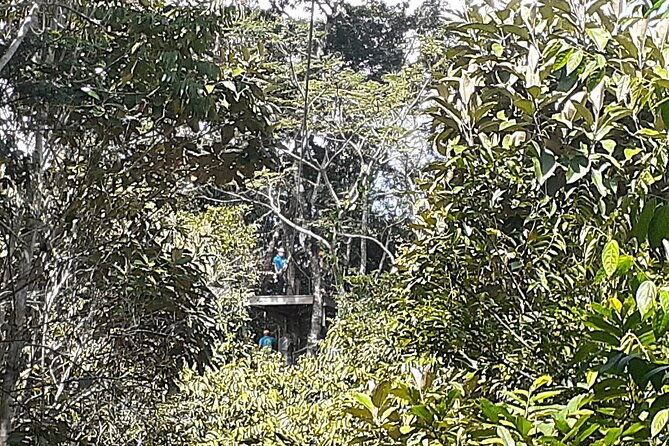 zipline-and-altun-ha-from-belize-city