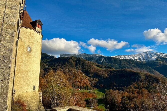 zurich-private-tour-gruyeres-cheese-and-lavaux-unesco-wine
