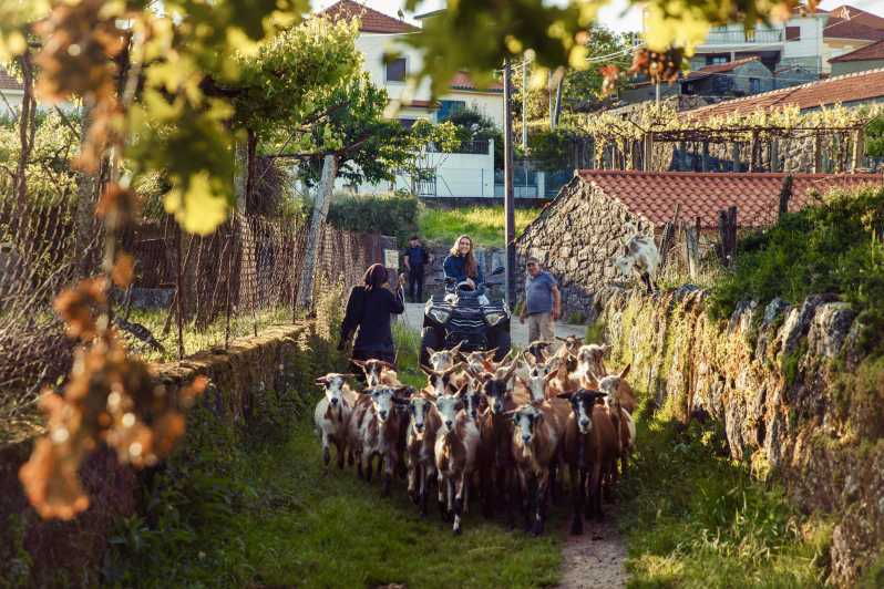 2h-quad-tour-arcos-de-valdevez-peneda-geres-2