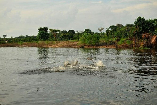 3-day-manaus-amazon-jungle-adventure
