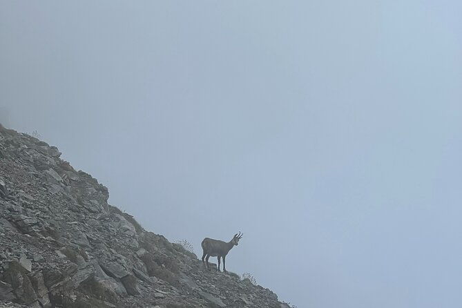 3-day-olympus-hiking-adventure