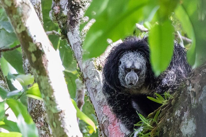 3-days-jungle-tour-expedition-amazonia-in-ecuador-rainforest
