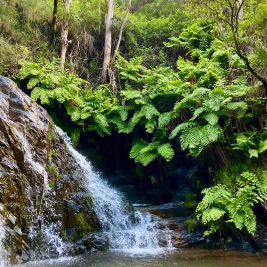 30-minutes-from-porto-waterfalls-hiking-and-picnic