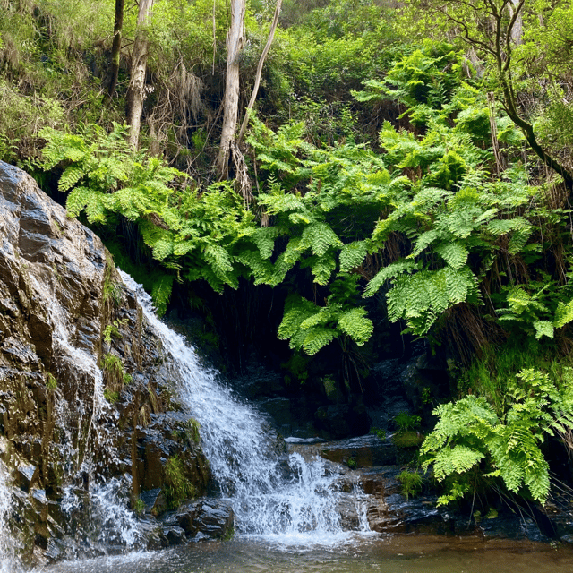30-minutes-from-porto-waterfalls-hiking-and-picnic