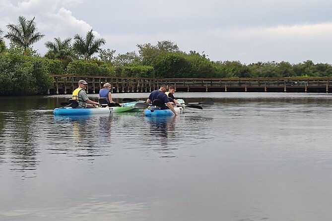1-hour-single-kayak-rental-with-manatee-dolphin-sightings