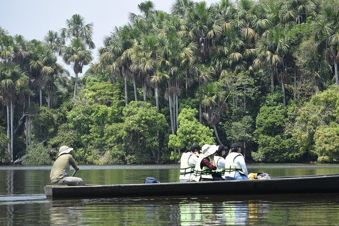 2-days-1-night-chuncho-clay-lick-and-sandoval-lake