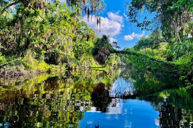 2-hour-guided-stand-up-paddle-board-tour-along-upper-manatee-river