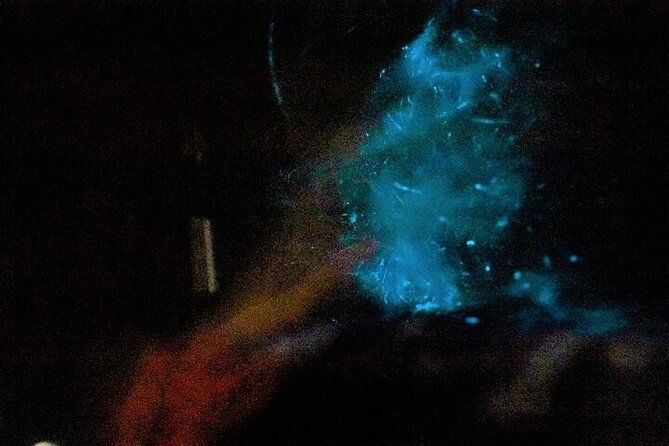 2-hours-bioluminescence-tour-by-kayak-in-paquera