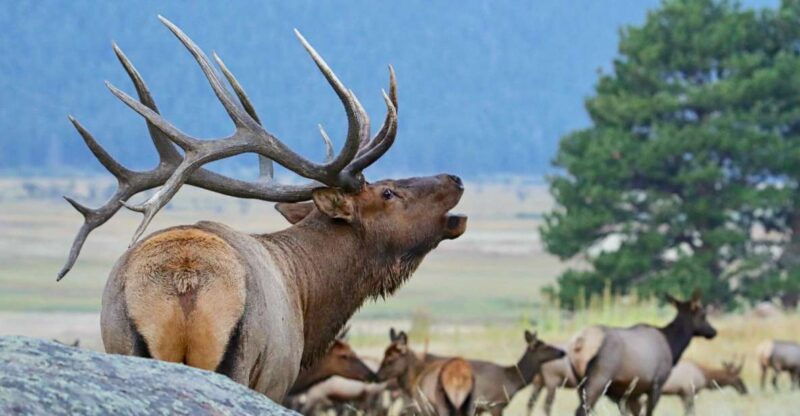 3-4-day-rmnp-mtn-to-skybear-lake-rd-tour-rmnphotographer