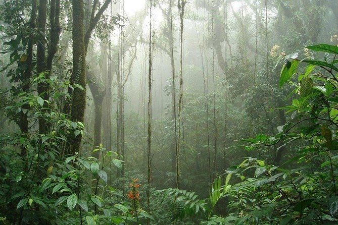 3-days-2-nights-arenal-volcano-monteverde-adventure-from-san-jose