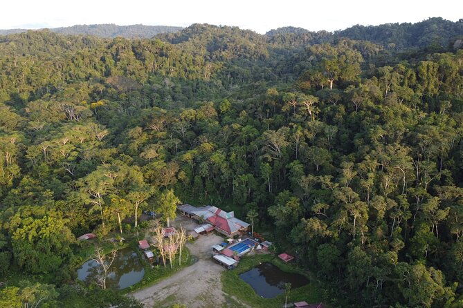 3-days-jungle-tour-expedition-amazonia-in-ecuador-rainforest