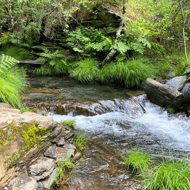 30-minutes-from-porto-waterfalls-hiking-and-picnic