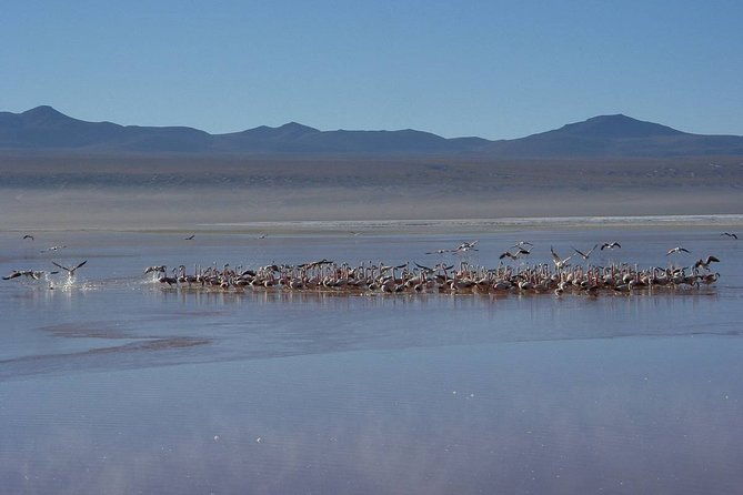4-days-experience-at-uyuni-salt-flat-from-san-pedro-de-atacama