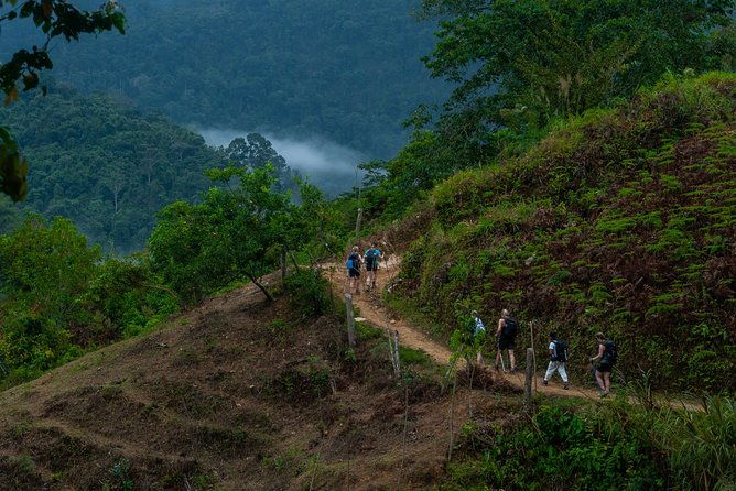 5-day-private-guided-hiking-experience-to-the-lost-city