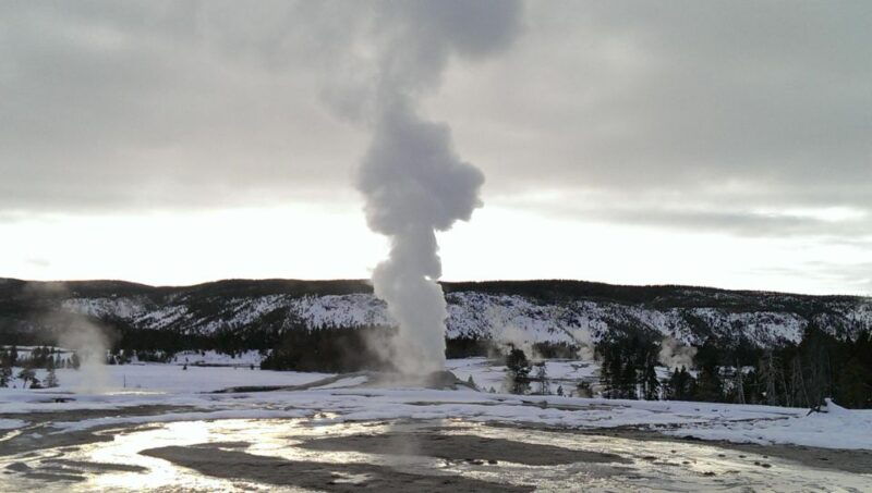 5-day-winter-yellowstone-wildlife-tour