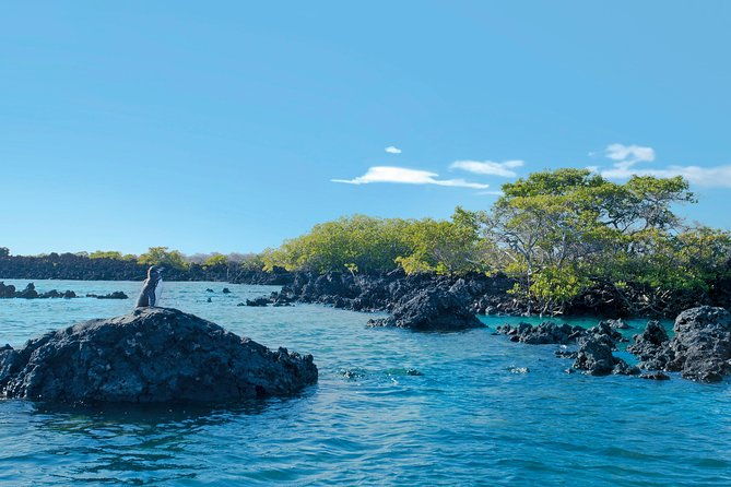 5-days-galapagos-tour-santa-cruz-and-isabela-islands