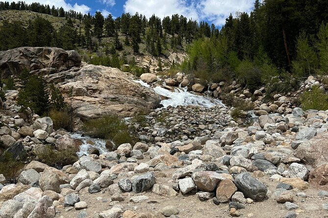 6-day-tour-grand-teton-yellowstone-rocky-mountain-and-colorado-hot-spring