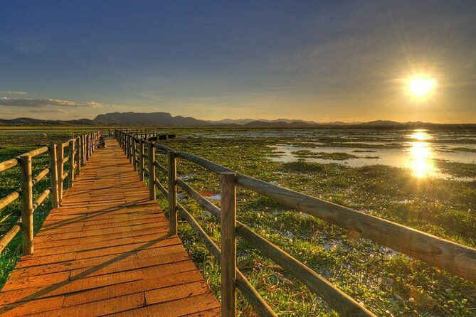 7-hour-private-tour-in-palo-verde-national-park-with-pickup