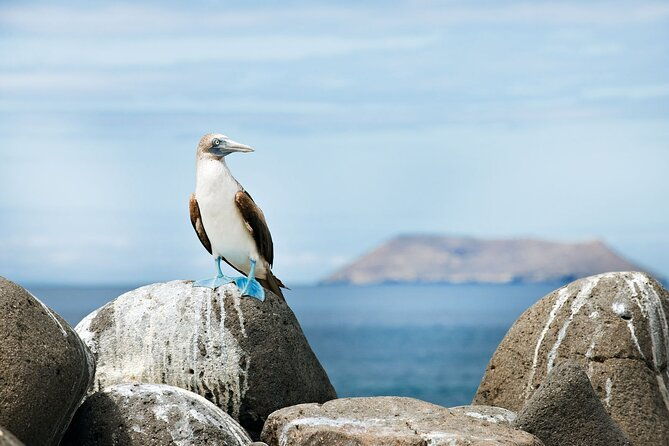 8-day-galapagos-island-hopping-backpack-style-los-tuneles-and-kicker-rock