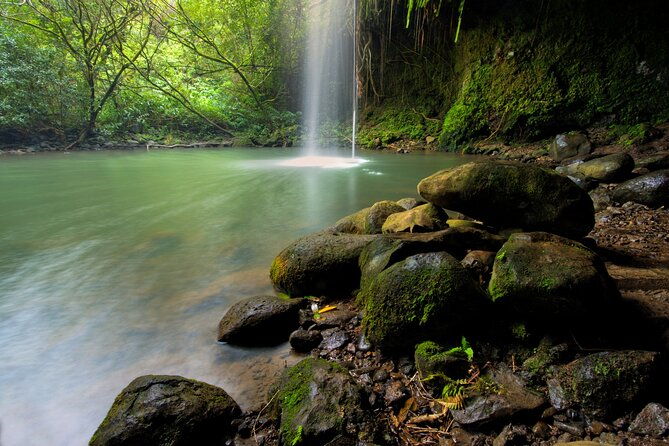 8-hour-private-jungle-waterfall-tour-from-maui