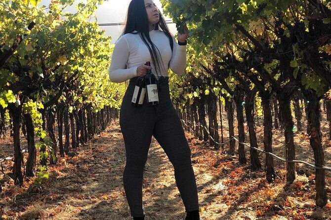 8-hours-12-passengers-limo-bus-for-napa-or-sonoma-wine-tour