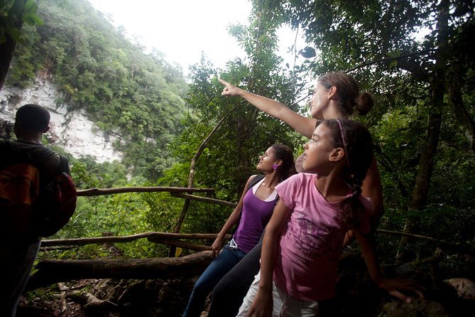 adrenaline-pumping-black-hole-drop-rappelling-at-ian-andersons-caves-branch