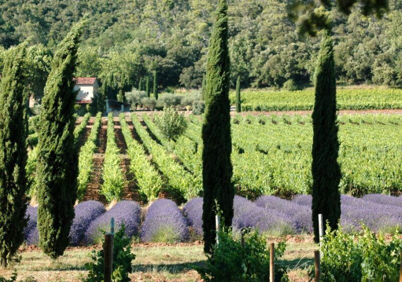 aix-en-provence-and-wine-tasting-private-full-day-tour-2