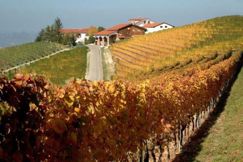 alba-e-bike-tour-with-wine-tastin-in-cellar