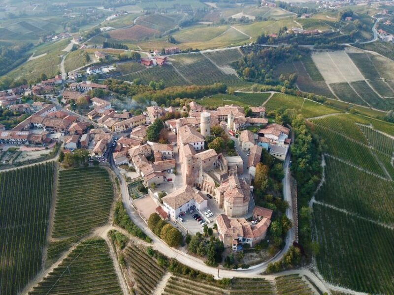 alba-truffle-hunting-with-cheese-truffle-wine-tastings
