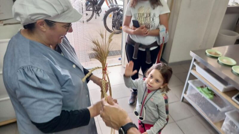 alberobello-e-bike-tour-trulli-mill-and-donkey-farm